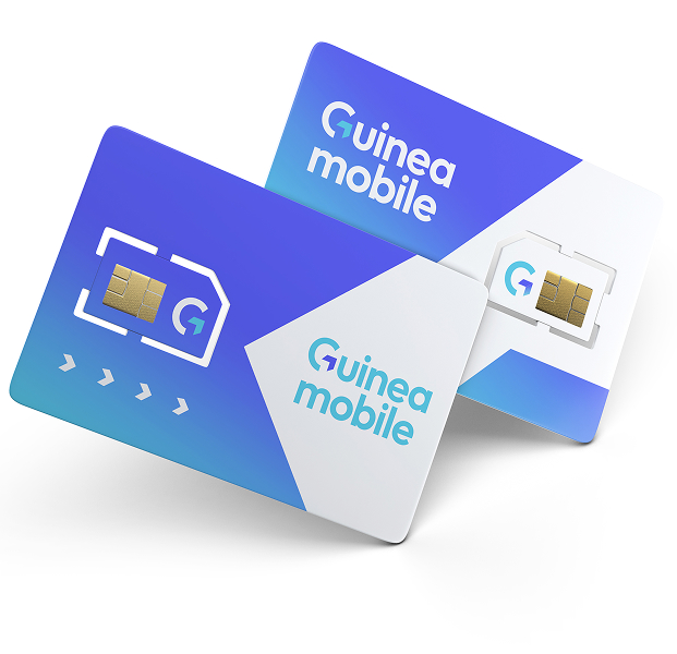 Starter Pack 1 - Box Guinea M2M 1